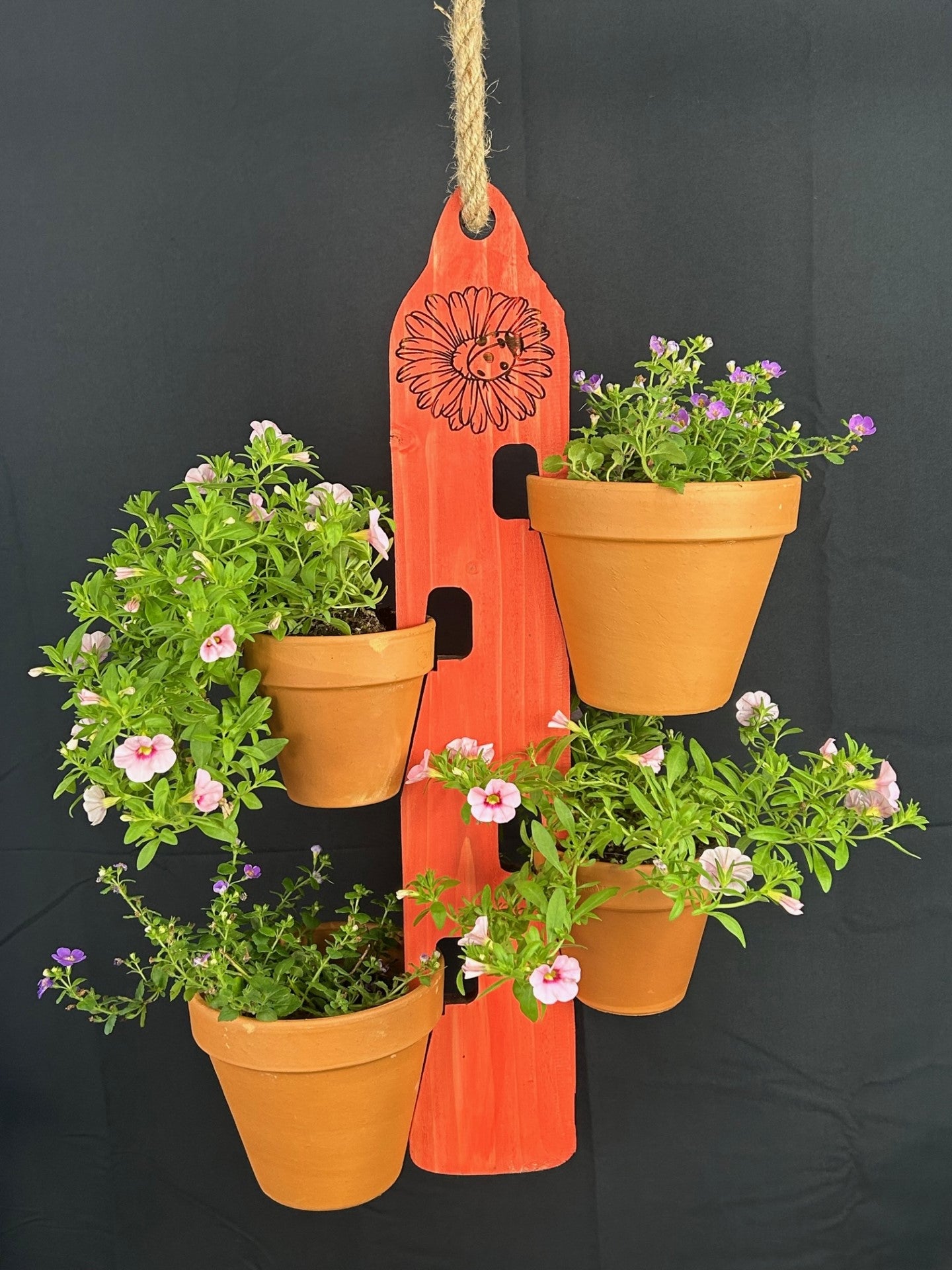 Rustic Red Ladybug Wooden Plant Hanger